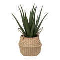 Pianta Artificiale Alea Vera con vaso | Rohome | Rohome