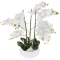 Pianta artificiale orchidea con vaso in ceramica | Rohome | Rohome