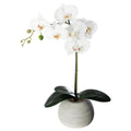 Pianta artificiale orchidea real con vaso in ceramica | Rohome | Rohome