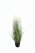 Pianta artificiale piumino (eriophorum) bianco con vaso | Rohome | Rohome