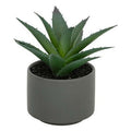 Pianta grassa con vaso grigio H 13 cm | Rohome | Rohome