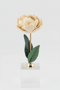 Pianta Peonia in ceramica colore avorio su base cubo h.18cm | Rohome | Rohome