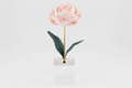 Pianta Peonia in ceramica colore rosa su base cubo h.18cm | Rohome | Rohome