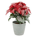 Pianta Stella di Natale, Poinsettia artificiale | Rohome | Rohome