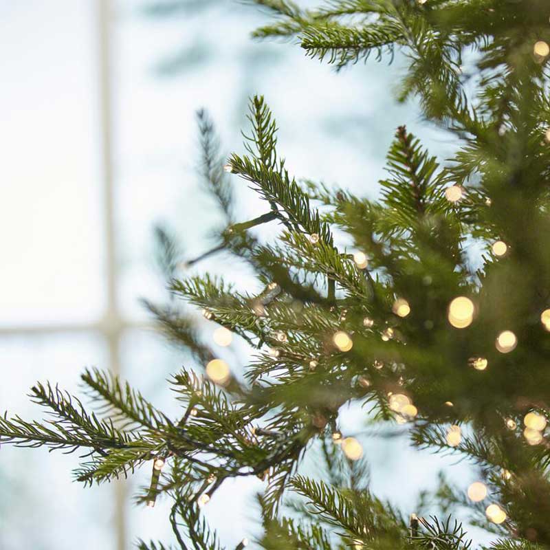 Albero di nalate Gallowey h.240 con 5400 led | rohome