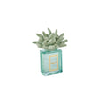 Profumo ambiente 100 ml rettangolare anemone verde salvia | Rohome | Rohome