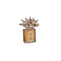 Profumo ambiente 100 ml anemone tortora | Rohome