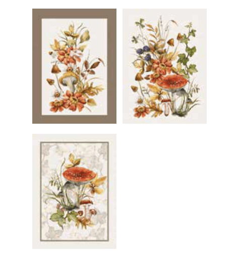 Set 3 strofinacci in cotone autunno 25 | rohome | Rohome