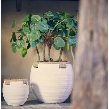 Edg - Vaso in terracotta con corde h.15cm | Rohome