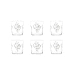 Simple Day - Set 6 Bicchieri fico d'india | Rohome - Rohome
