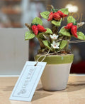 Vasetto piccolo con peperoncini in ceramica | rohome | Rohome