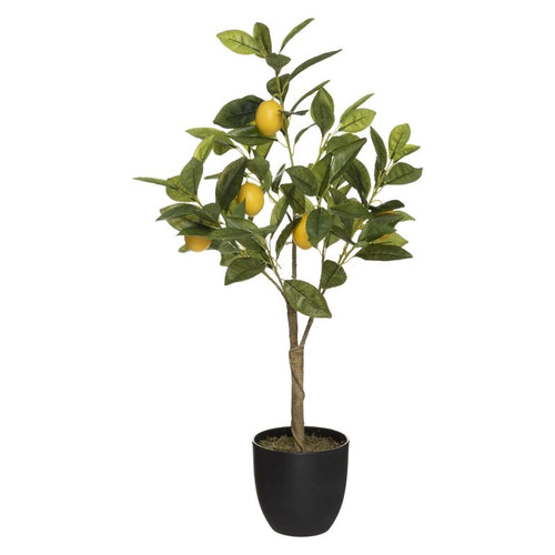 Albero artificiale limone | rohome | Rohome