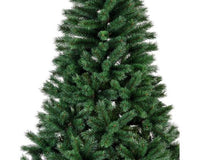 Albero di natale abete canada spruce h210 | rohome - Rohome