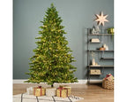 Albero di natale galloway con luci h240 led 5400 | rohome - Rohome
