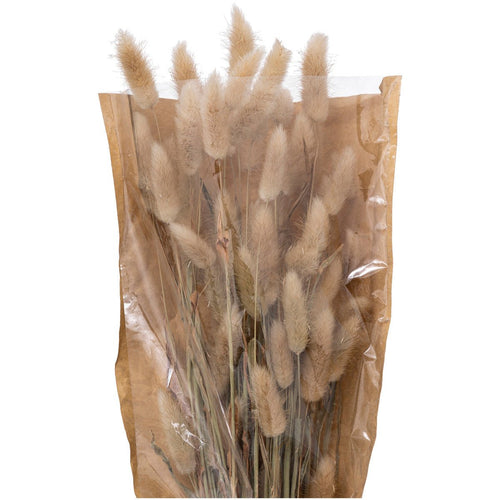 Bouquet fiori secchi bianco avorio coda di coniglio | rohome | Rohome