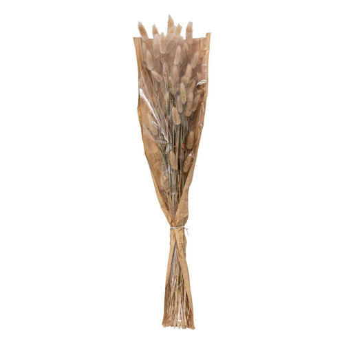 Bouquet fiori secchi bianco avorio coda di coniglio | rohome | Rohome