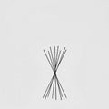 Edg - bastoncini profumatore ambiente h28 | rohome | Rohome
