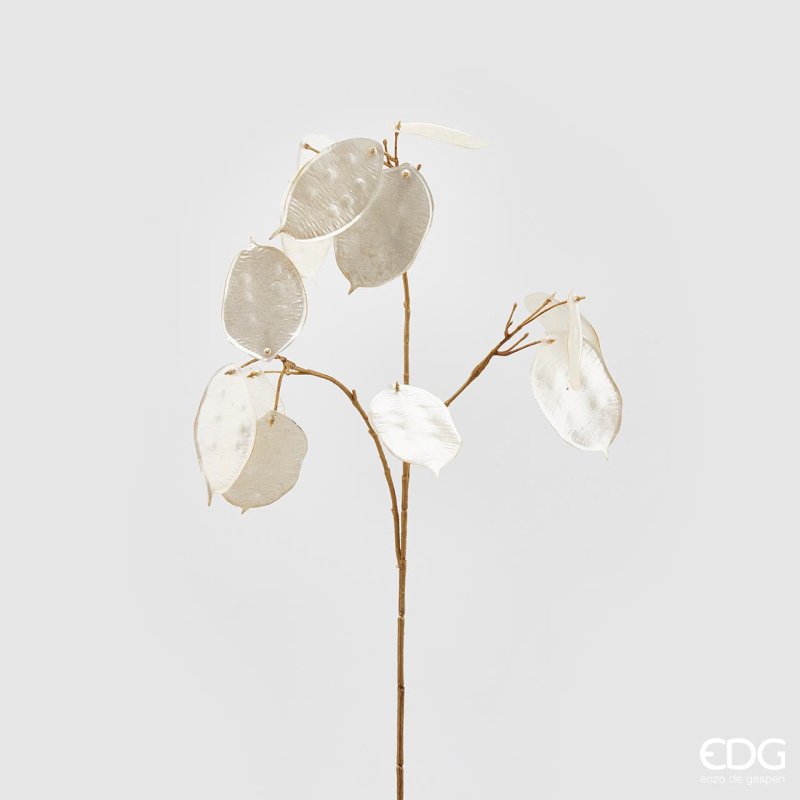 Edg - fiore artificiale lunaria dry | rohome - Rohome