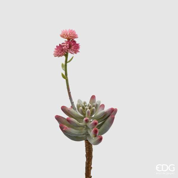 Edg - fiore artificiale sedum pick con fiore | rohome - Rohome