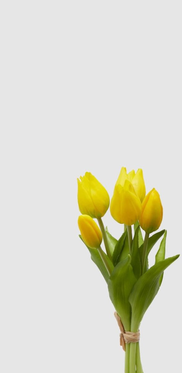 Edg - mazzo tulipano giallo o arancione h 26cm | rohome - Rohome