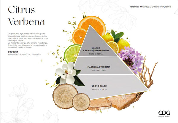 Edg - profumatore ambiente alchemy citrus verbena | rohome - Rohome