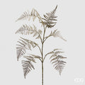 Edg - ramo asparagus gold h84 | rohome | Rohome