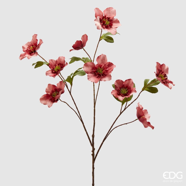 Edg - ramo elleboro rosa antico h100 | rohome - Rohome