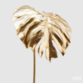 Edg - ramo monstera gold | rohome | Rohome