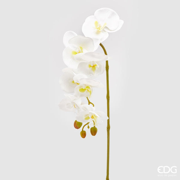 Edg - ramo orchidea bianco | rohome - Rohome