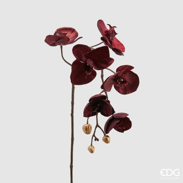 Edg - ramo orchidea red h79 | rohome - Rohome