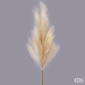 Edg - ramo pampas avorio h 130cm | rohome | Rohome