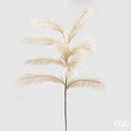 Edg - ramo pampas champagne h 130cm | rohome | Rohome