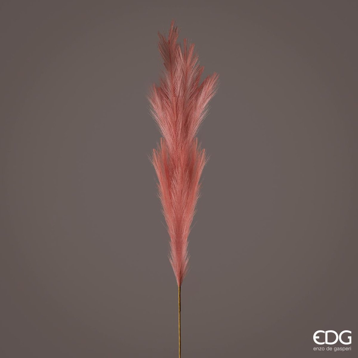 Edg - ramo pampas rosa antico h 130cm | rohome - Rohome