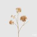 Edg - ramo pohutukawa gold | rohome | Rohome