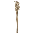 Mazzo di piante essiccate h 74 | rohome | Rohome