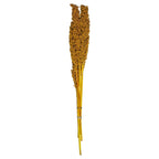 Mazzo di piante essiccate h 74 | rohome - Rohome