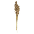 Mazzo di piante essiccate h 74 | rohome | Rohome