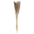 Mazzo di piante essiccate h 74 | rohome | Rohome