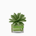 MuhÀ - profumatore amb.flower 30ml mosto supremo | rohome | Rohome