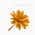 Muha' - ricambio camelia arancione | rohome | Rohome