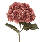 Ortensia artificiale h83 cm | rohome - Rohome