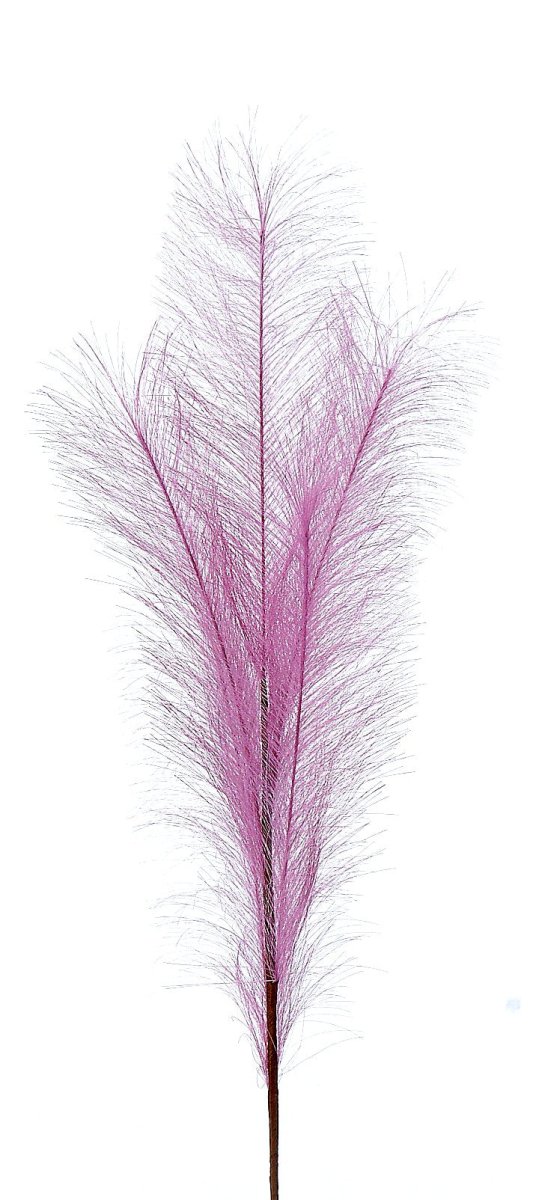 Pampas pink | rohome - Rohome