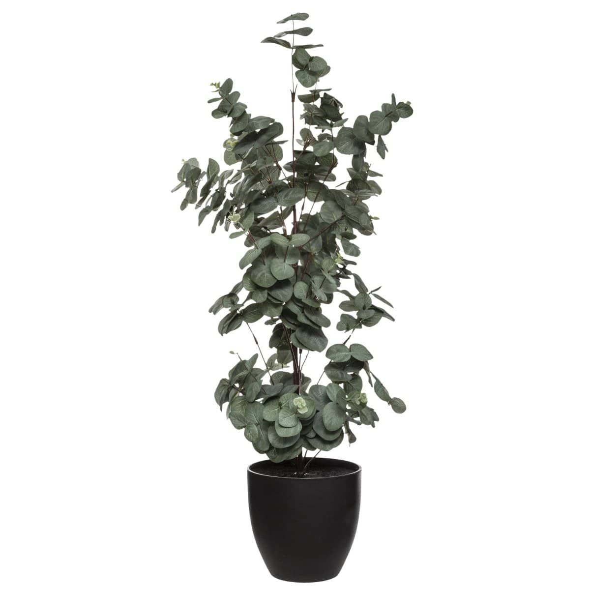 Pianta artificiale eucalipto h 85 cm – Rohome