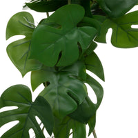 Pianta da appaendere monstera | rohome - Rohome