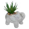 Piantina artificiale elefante | rohome | Rohome