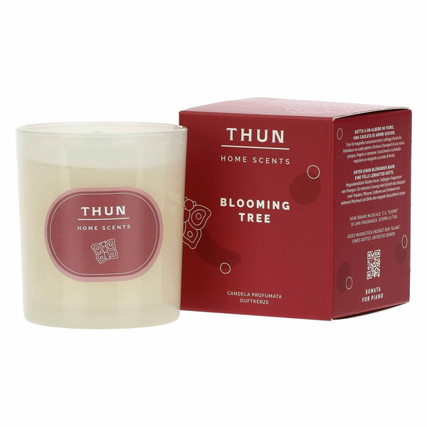 Thun - candela piccola blooming tree| rohome - Rohome