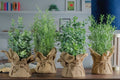 Piantina artificiale decorativa con vasetto in juta | rohome | Rohome
